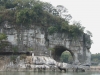 The Elephant's Trunk