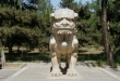 Lion Statue