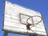 Without a Net