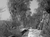 Road