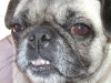 You got my teeth?