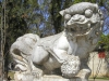 Stone Lion