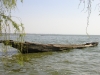 An Empty Boat