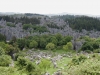Sea of Stone