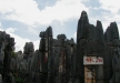 Stone Forest
