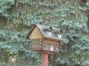 Bird House