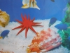 Seashell